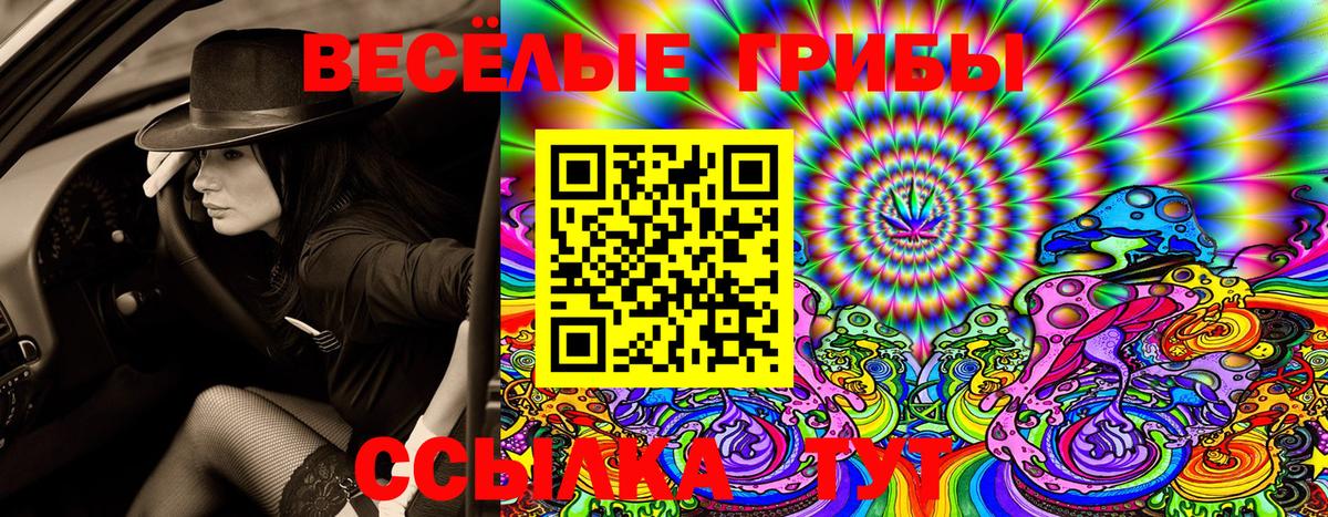 Псилоцибиновые грибы Psilocybe  Вход с VPN  Елизово 